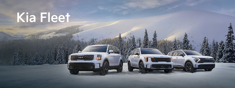 Kia Fleet