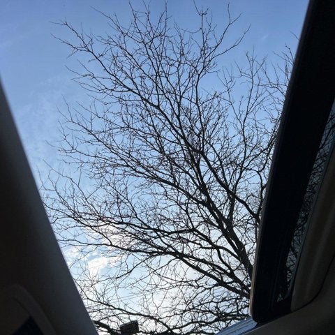 2022 Lexus GX GX 460 Premium