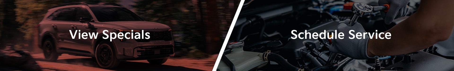 view specials or schedule service